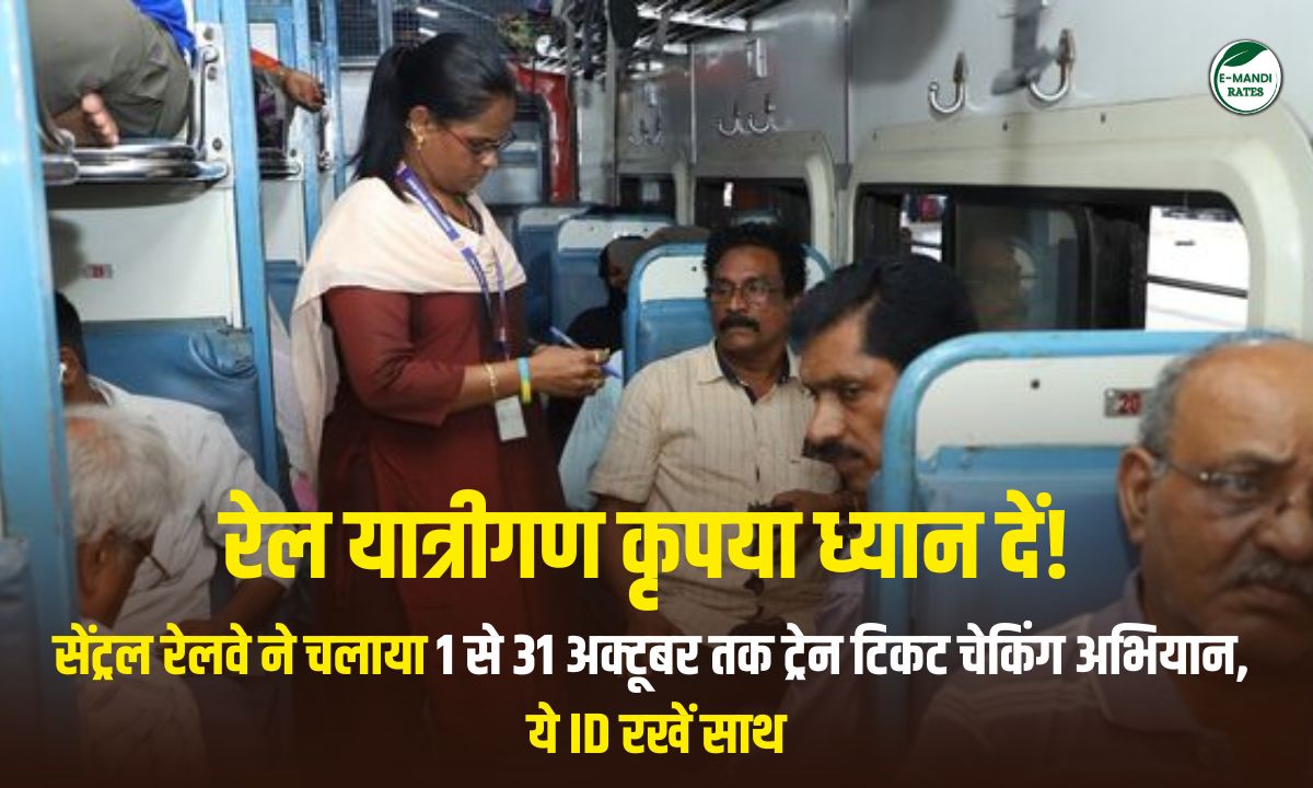 Central Railway Train Ticket Checking